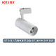 BT-SC10-飞驰轨道灯 白色 65*148MM 24W 白光