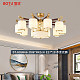 BT-HX8666- D86*H42cm E27*10 不含光源