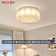 BT-HX241801圆-Φ50*20cm-78W三色变光