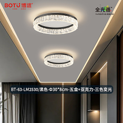 博途照明现代简约BT-63-LM2530 阳台/过道灯