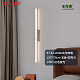 BT-63-LM2523/奶咖色 100*5*8cm-三色变光