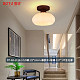 BT-84-1126-1C/B款-22*16cm-E27*1不含