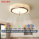 BT-79-A0337-Ø50*H24cm-离线语音