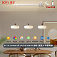 BT-79-A0302/3头-89*22*150cm-全光谱无极