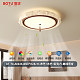 BT-79-A0335-Ø50*H24cm-离线语音