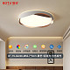 BT-79-A0208-Ø50.7*9cm-全光谱三色变光