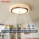 BT-79-A0336-Ø50*H24cm-离线语音