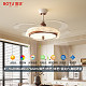 BT-79-A0356-Ø53.5*8.5cm-全光谱离线语音