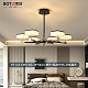 BT-102-5393-6头-76*56cm-三色变光