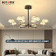 BT-102-5392-8头-93*56cm-三色变光