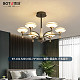 BT-102-5204-6头-73*46cm-三色变光