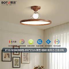 博途照明 中古风 BT-91-SC068系列 吸顶灯